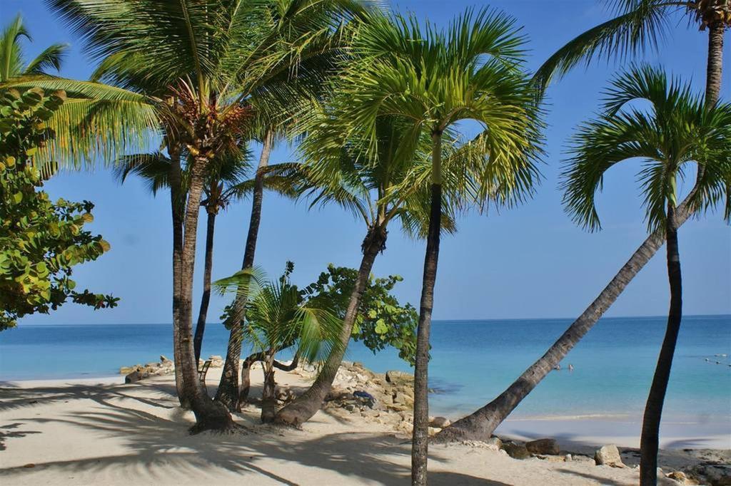 Siboney Beach Club St. John's Экстерьер фото