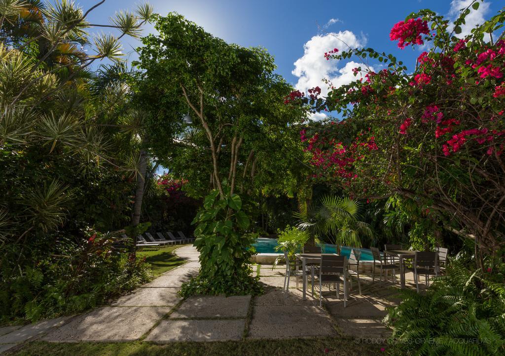 Siboney Beach Club St. John's Экстерьер фото